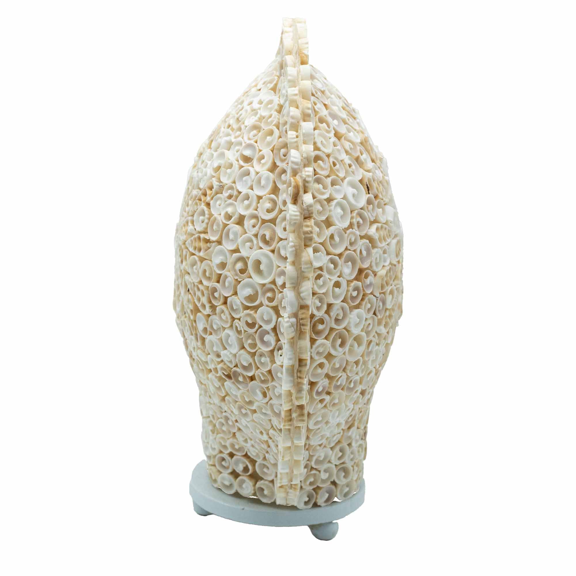 Lámpara Boho de Conchas Marinas ( 10 modelos )