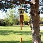 Casas para Aves de Pasto Marino ( 7 modelos )