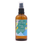 Spray Ambientador de Verano 100ml ( 6 fragancias diferentes )