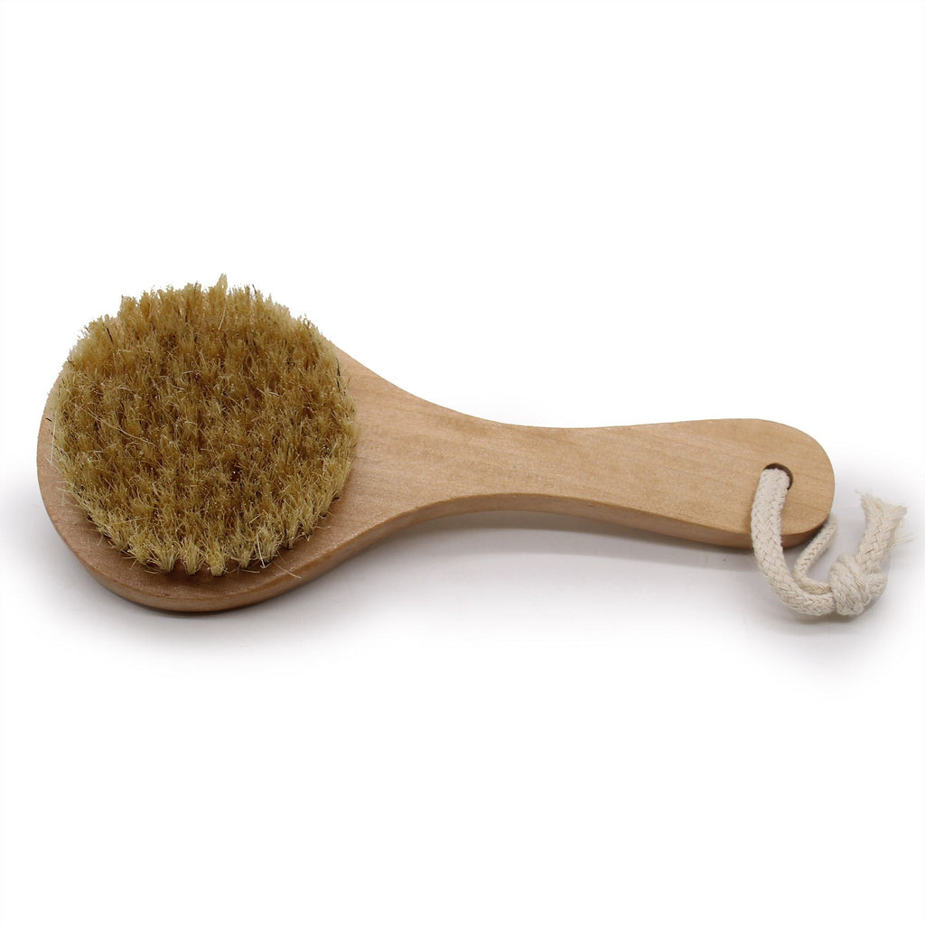 Cepillo Exfoliante Corporal ( 5 modelos )