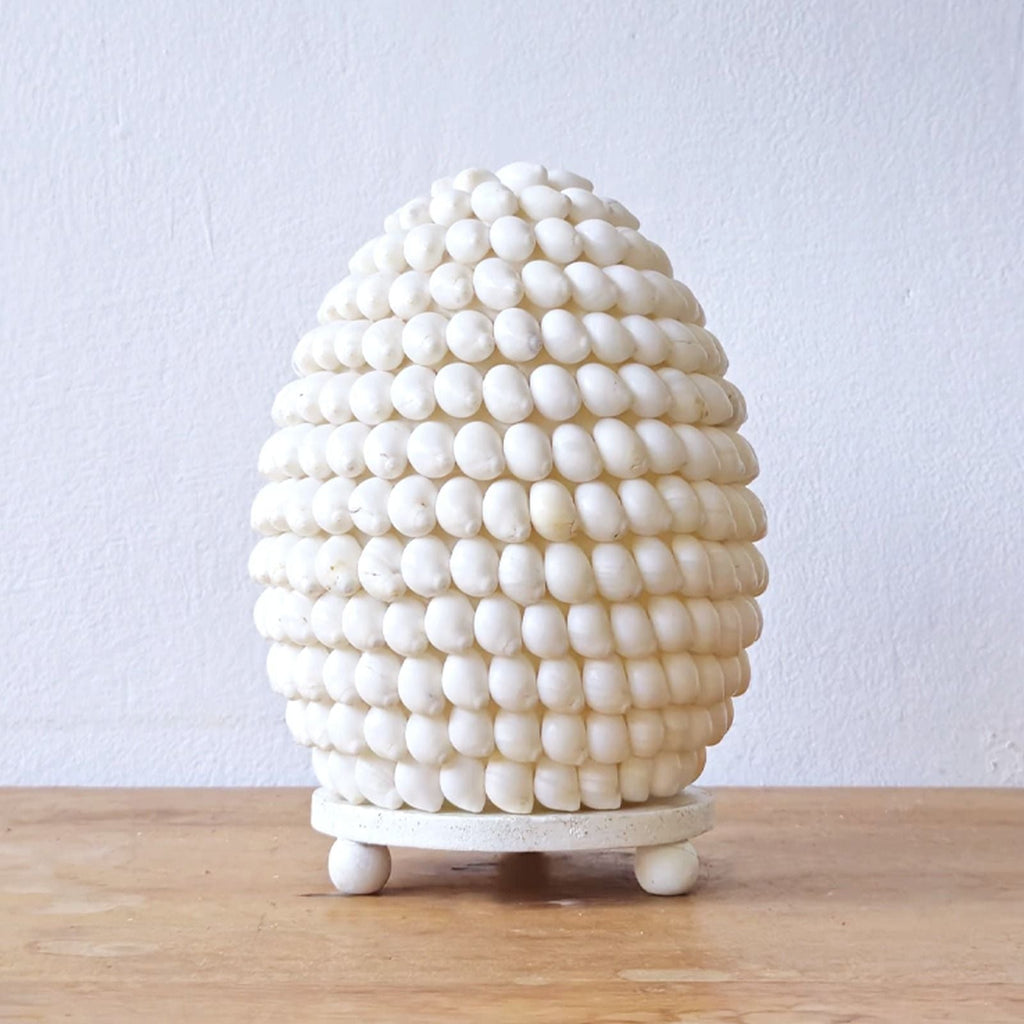 Lámpara Boho de Conchas Marinas ( 10 modelos )