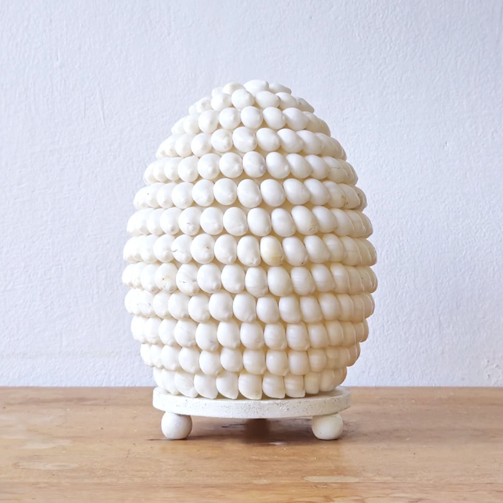 Lámpara Boho de Conchas Marinas ( 10 modelos )
