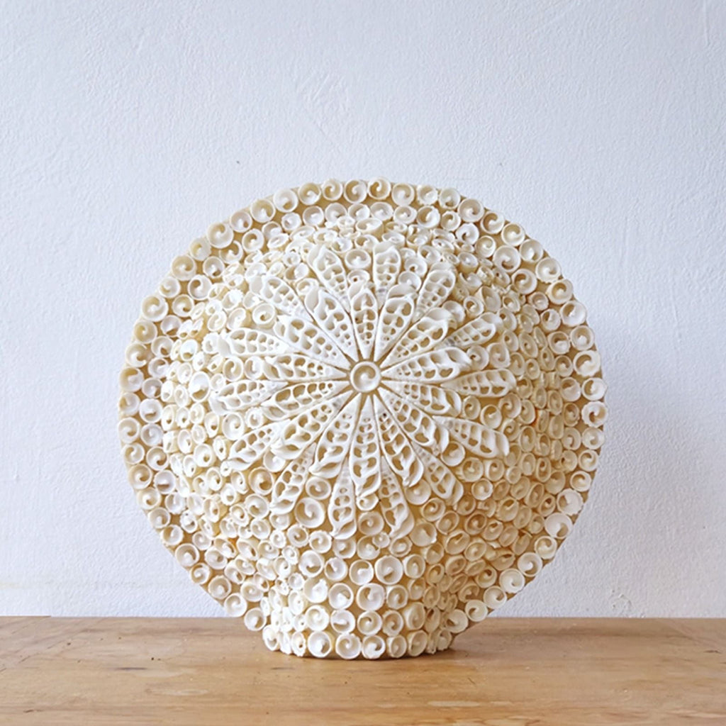Lámpara Boho de Conchas Marinas ( 10 modelos )