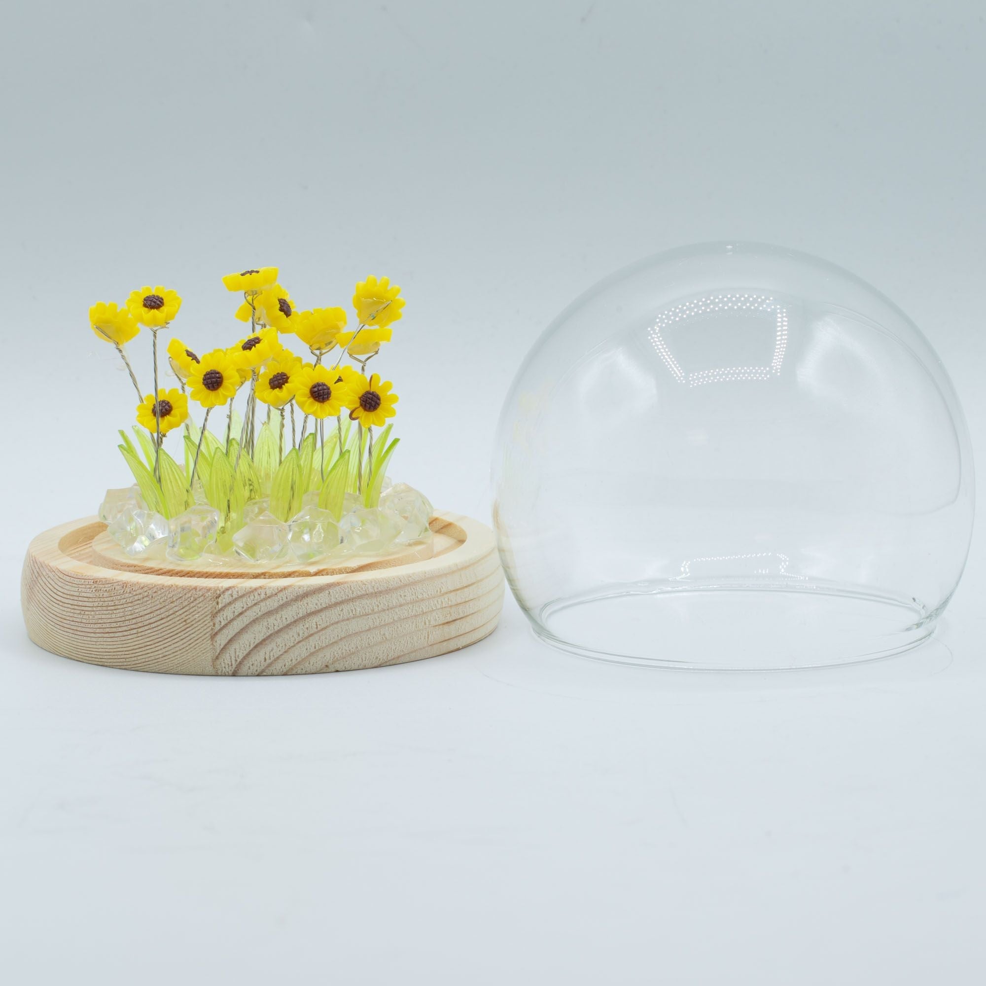 Domo de Jardín con Brillo Floral ( 9 modelos )