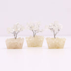 Mini Árboles de Piedras Preciosas ( 20 modelos )