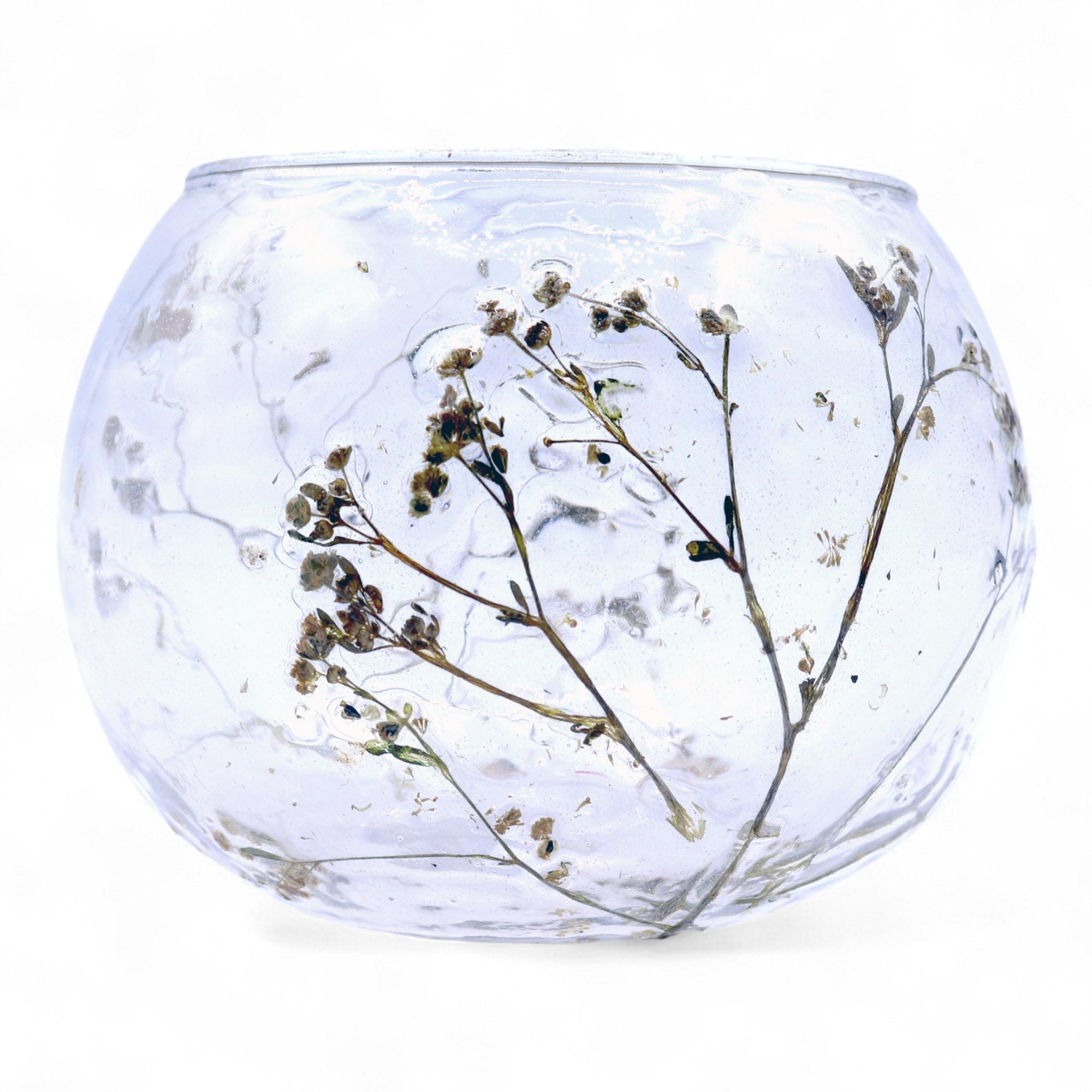 Portavelas de Vidrio floral natural Cuenco - Margarita - (8x10cm)