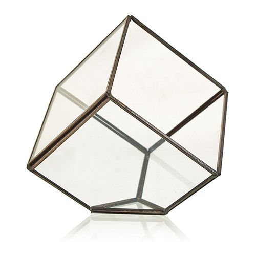 Terrarios de Vidrio ( 16 modelos )