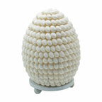 Lámpara Boho de Conchas Marinas ( 10 modelos )
