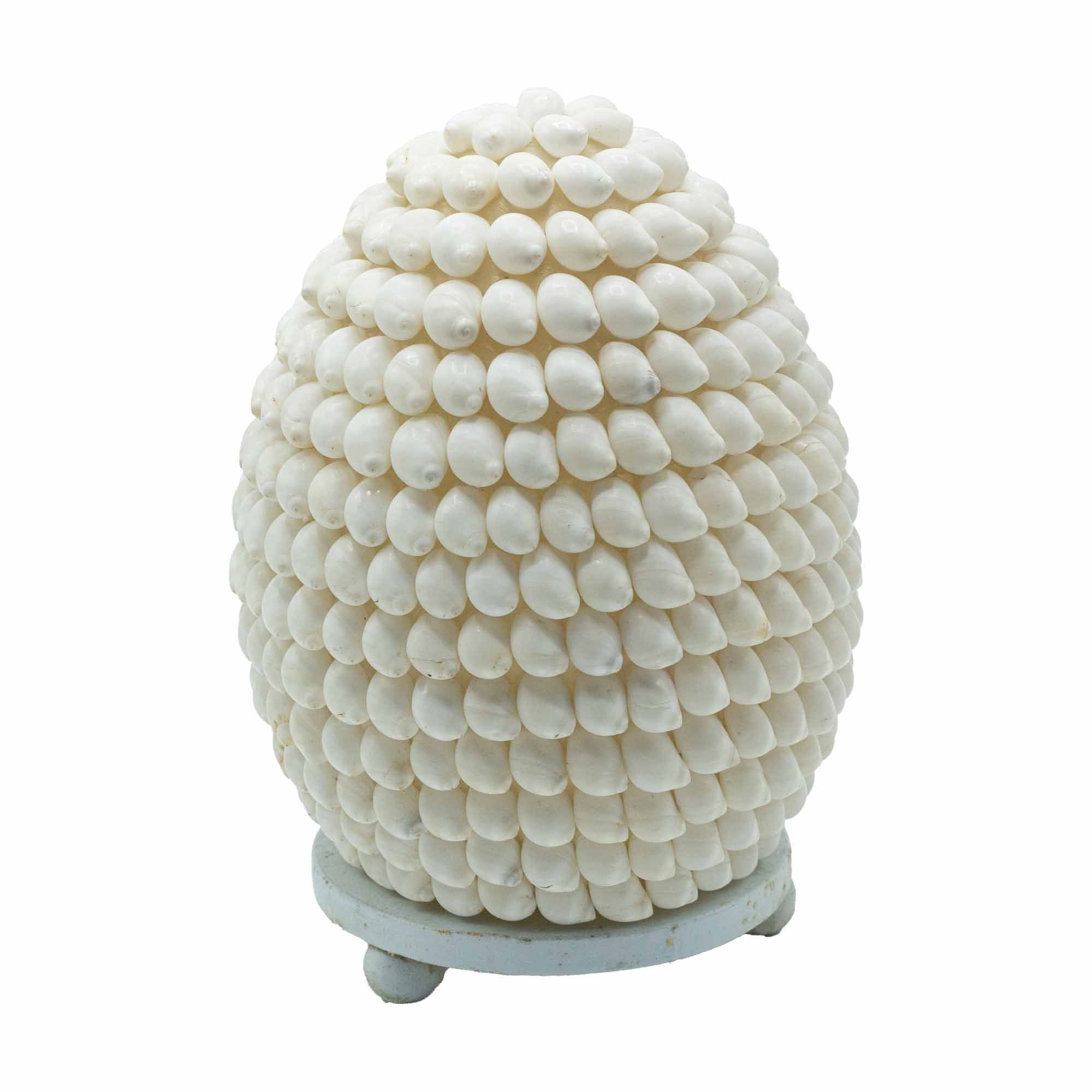 Lámpara Boho de Conchas Marinas ( 10 modelos )