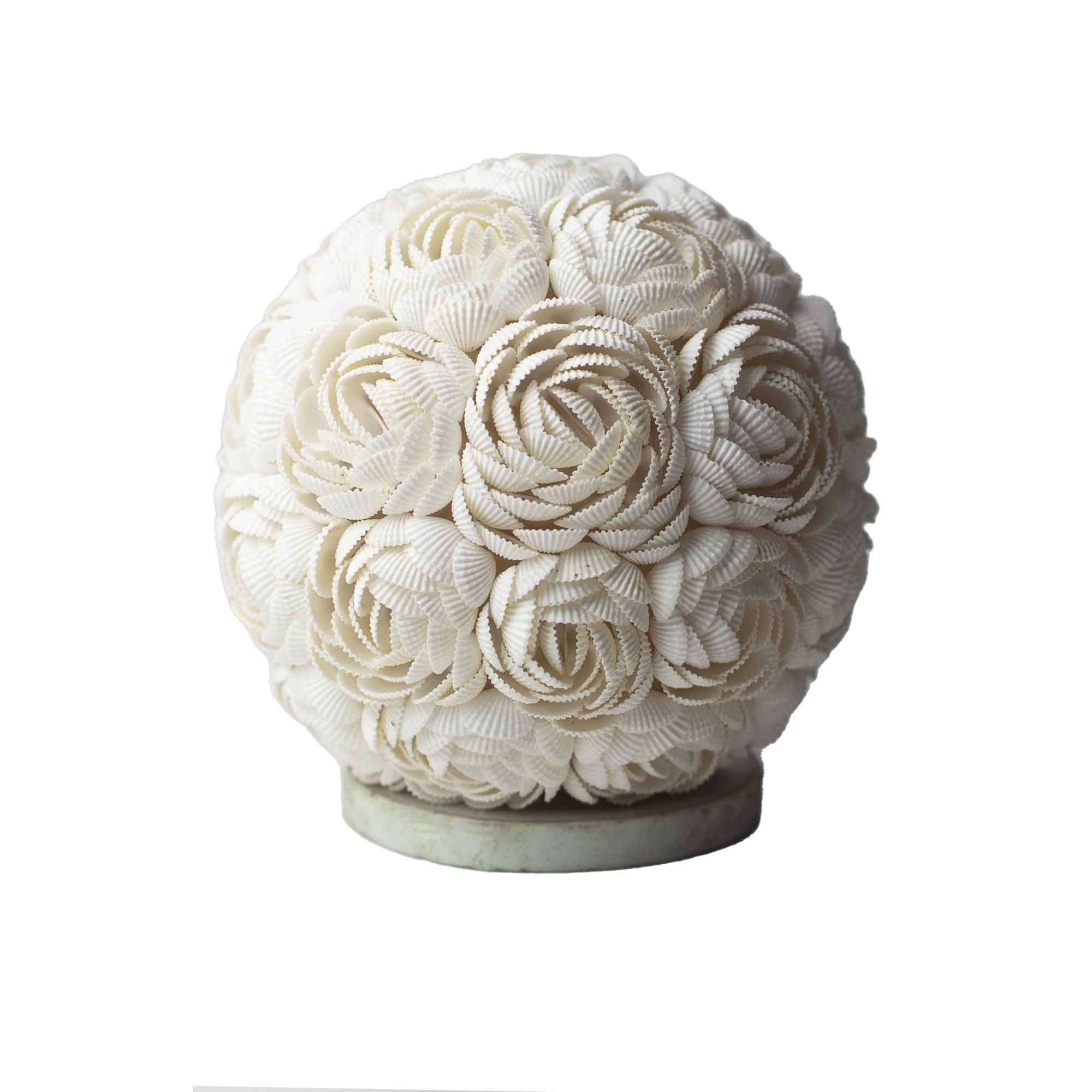 Lámpara Boho de Conchas Marinas ( 10 modelos )