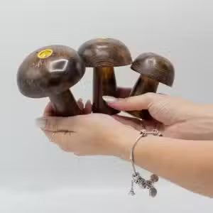 Soporte de Madera para Incienso ( 25 modelos )